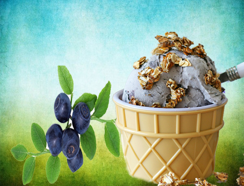   Blueberry Cobbler Icecream