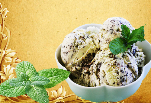  Mint Chocolate Chip Icecream